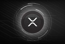 XRP Is Quietly Taking Over And These Are The Issues That Buyers Preserve Lacking