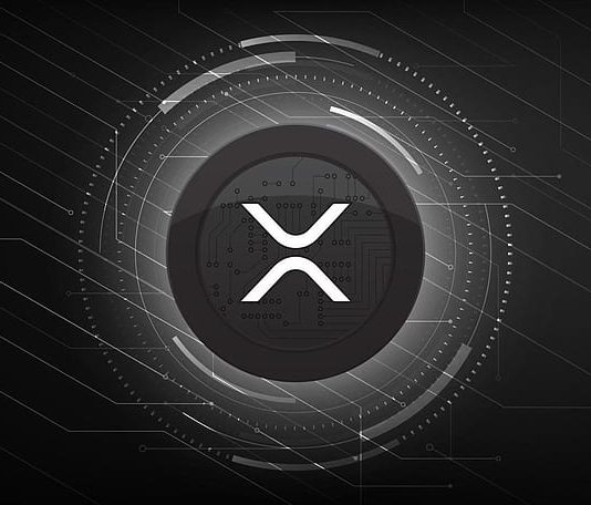 XRP Is Quietly Taking Over And These Are The Issues That Buyers Preserve Lacking