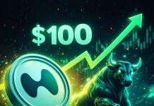 Hyperliquid (HYPE) To $100? Professional Forecasts Main Rise Earlier than Summer time 2027