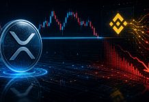 XRP Holds Key Stage, However Binance Movement Information Alerts Weakening Demand
