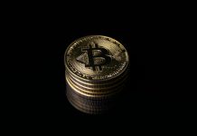 Bitcoin Threat Urge for food Has Crashed Since October 2025: Quantum Sign Bitcoin Threat Urge for food Has Crashed Since October 2025: Quantum Sign