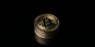 Bitcoin Threat Urge for food Has Crashed Since October 2025: Quantum Sign