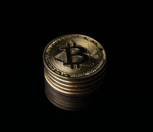 Bitcoin Threat Urge for food Has Crashed Since October 2025: Quantum Sign Bitcoin Threat Urge for food Has Crashed Since October 2025: Quantum Sign