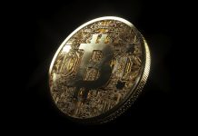 Analyst Says Keep away from Bitcoin At All Prices; Right here’s What To Do As an alternative As 50% Crash Looms
