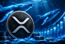 XRP Whales Now Maintain Most Tokens Since 2018 As Value Eyes $1.50