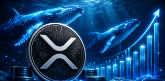 XRP Whales Now Maintain Most Tokens Since 2018 As Value Eyes $1.50