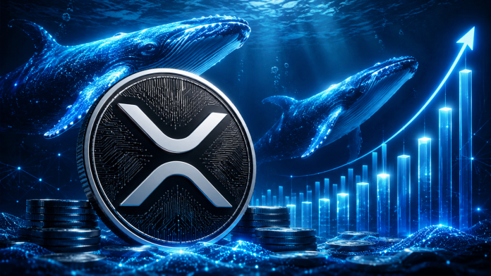 XRP Whales Now Maintain Most Tokens Since 2018 As Value Eyes $1.50