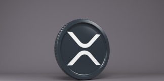 XRP Holders Rise Quickly To Hit A New All-Time Excessive, Will Worth Comply with?