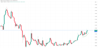 Dogecoin Restoration Push Continues, However Bears Nonetheless Threaten One Remaining Drop