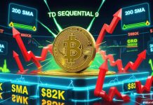 Bitcoin (BTC) Worth Prediction: BTC Defends 200 SMA Close to $78Okay as TD Sequential Purchase Sign Sparks $80Okay Rebound Hopes