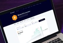 $100/Month in Bitcoin Since 2015 Would Have Turned $13,700 Into $632,000, Coinbird Evaluation Reveals