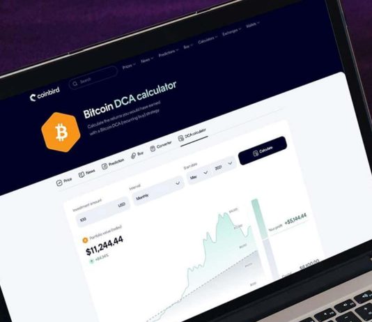 $100/Month in Bitcoin Since 2015 Would Have Turned $13,700 Into $632,000, Coinbird Evaluation Reveals $100/Month in Bitcoin Since 2015 Would Have Turned $13,700 Into $632,000, Coinbird Evaluation Reveals