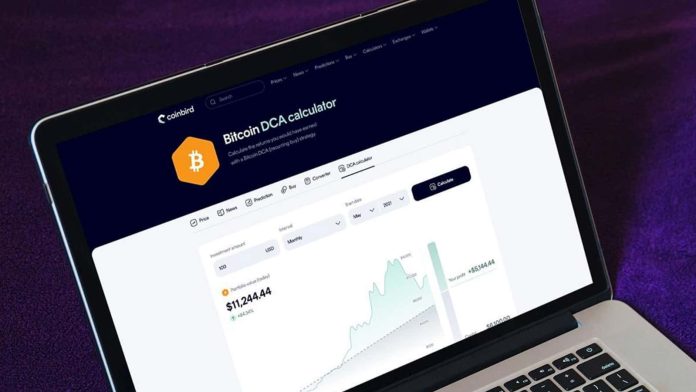 $100/Month in Bitcoin Since 2015 Would Have Turned $13,700 Into $632,000, Coinbird Evaluation Reveals