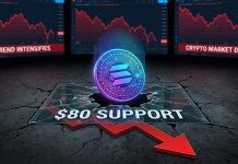 Solana (SOL) Drops Into Bearish Zone, Key Helps Come Underneath Risk