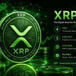 XRP Analyst Reveals The Actual Catalysts; ‘The Value Discovery Will Be Biblical’