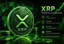 XRP Analyst Reveals The Actual Catalysts; ‘The Value Discovery Will Be Biblical’