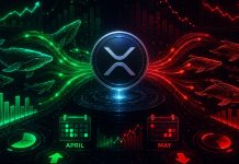 XRP’s Massive Consumers Returned In April However left In Might: Capital Inflows Information Explains The Shift