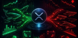 XRP’s Massive Consumers Returned In April However left In Might: Capital Inflows Information Explains The Shift XRP’s Massive Consumers Returned In April However left In Might: Capital Inflows Information Explains The Shift