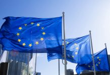 European Fee Launches Crypto Guidelines Assessment As Euro Stablecoin Undertaking Beneficial properties Assist