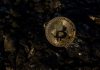 Millionaire Businessman Reveals The place The Actual Crypto Worth Is, And It’s Not Bitcoin