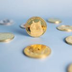 Dogecoin Adoption Is Again In The Playing cards, However Why Is DOGE Value Nonetheless Crashing?