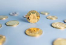 Dogecoin Adoption Is Again In The Playing cards, However Why Is DOGE Value Nonetheless Crashing?