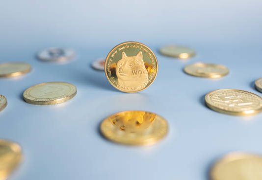 Dogecoin Adoption Is Again In The Playing cards, However Why Is DOGE Value Nonetheless Crashing? Dogecoin Adoption Is Again In The Playing cards, However Why Is DOGE Value Nonetheless Crashing?