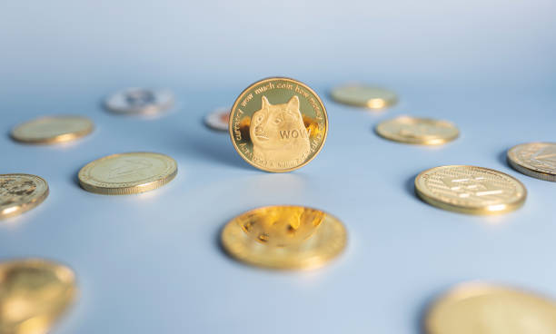 Dogecoin Adoption Is Again In The Playing cards, However Why Is DOGE Value Nonetheless Crashing? Dogecoin Adoption Is Again In The Playing cards, However Why Is DOGE Value Nonetheless Crashing?