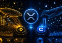 XRP Whale Dominance Returns To Binance Whereas Coinbase Knowledge Tells A Completely different Story
