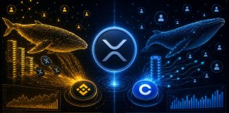 XRP Whale Dominance Returns To Binance Whereas Coinbase Knowledge Tells A Completely different Story