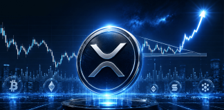 Analyst Maps XRP’s Path To 31% Of The Total Crypto Market