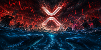 XRP Declines 8%, However Whales Scoop Up 71 Million Tokens