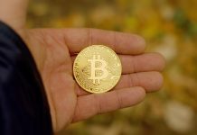 Bitcoin Value Breaks 14-Yr Help For The First Time In Historical past, Analyst Predicts $50,000 Goal
