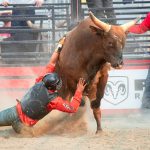Bitcoin Bull Thesis Goes Large: 39 Trillion Causes To Purchase, Says Gemini Founder