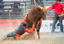 Bitcoin Bull Thesis Goes Large: 39 Trillion Causes To Purchase, Says Gemini Founder