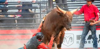 Bitcoin Bull Thesis Goes Large: 39 Trillion Causes To Purchase, Says Gemini Founder Bitcoin Bull Thesis Goes Large: 39 Trillion Causes To Purchase, Says Gemini Founder
