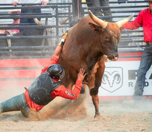 Bitcoin Bull Thesis Goes Large: 39 Trillion Causes To Purchase, Says Gemini Founder Bitcoin Bull Thesis Goes Large: 39 Trillion Causes To Purchase, Says Gemini Founder