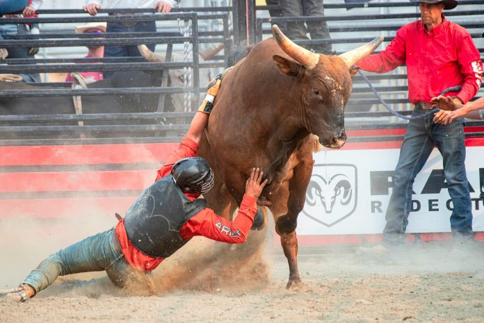 Bitcoin Bull Thesis Goes Large: 39 Trillion Causes To Purchase, Says Gemini Founder Bitcoin Bull Thesis Goes Large: 39 Trillion Causes To Purchase, Says Gemini Founder