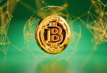 What The Bitcoin Transaction Quantity Crashing Might Do To The Value
