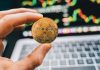 XRP Confirms Detrimental Breakout With Worth Headed For $1.14 – Analyst
