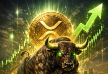 XRP, ETH, SOL, LINK Look Low-cost—The Catalysts That Might Drive The Subsequent Leg Up XRP, ETH, SOL, LINK Look Low-cost—The Catalysts That Might Drive The Subsequent Leg Up