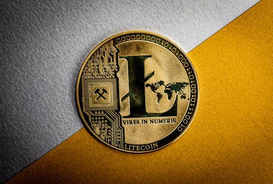 Mapping The Litecoin Path To $1,000: Analyst Reveals What To Anticipate After 13 Years Of Disappointment