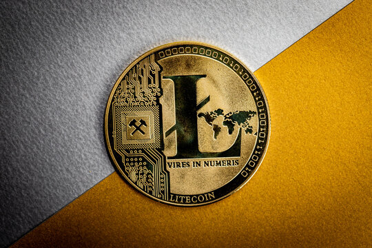 Mapping The Litecoin Path To $1,000: Analyst Reveals What To Anticipate After 13 Years Of Disappointment Mapping The Litecoin Path To $1,000: Analyst Reveals What To Anticipate After 13 Years Of Disappointment