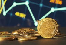 XRP’s Utility Narrative Extends Past Standard Market Cap Metrics