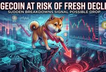 Dogecoin (DOGE) Beneath Stress Once more As Bears Eye Decrease Ranges