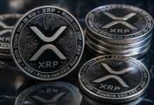 XRP Pushing To $100: The Market Cap Dialog Will Go Out The Window If This Occurs XRP Pushing To $100: The Market Cap Dialog Will Go Out The Window If This Occurs