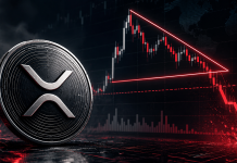 XRP Worth Dangers Fall To $0.75 As Prime Chartist Warns Of Bearish Setup XRP Worth Dangers Fall To $0.75 As Prime Chartist Warns Of Bearish Setup