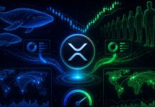 XRP Sends A Uncommon Sign As Whale-Retail Dynamics Are Shifting – Merchants Are Watching