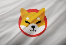 Shiba Inu OI Crashes Over 30%, SHIB Burns Grind To A Halt; Is This The Finish?