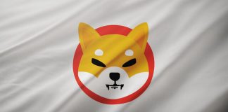 Shiba Inu OI Crashes Over 30%, SHIB Burns Grind To A Halt; Is This The Finish? Shiba Inu OI Crashes Over 30%, SHIB Burns Grind To A Halt; Is This The Finish?